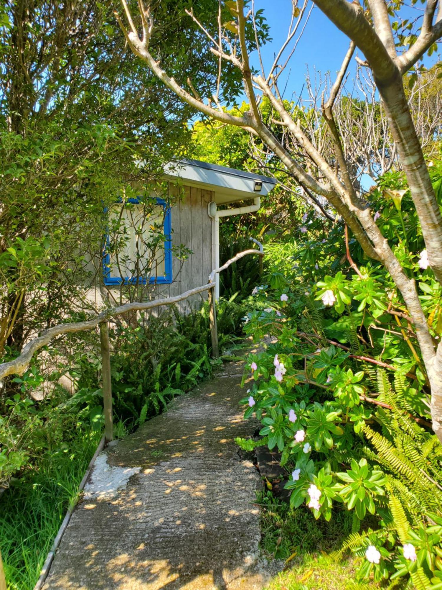 Rawhiti Cottage Kuaotunu Esterno foto